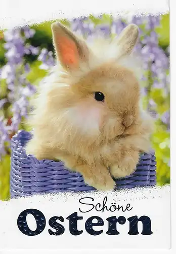 Osterklappkarte Häschen - beschrieben