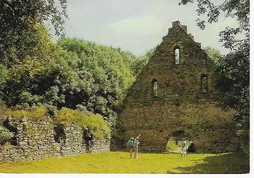 Ansichtskarte Nossen (Kr. Meißen) - Klosterruine Altzella  - nicht gelaufen