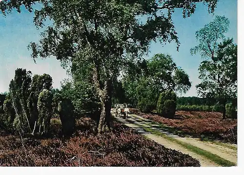 Ansichtskarte Lüneburger Heide - gelaufen 1972