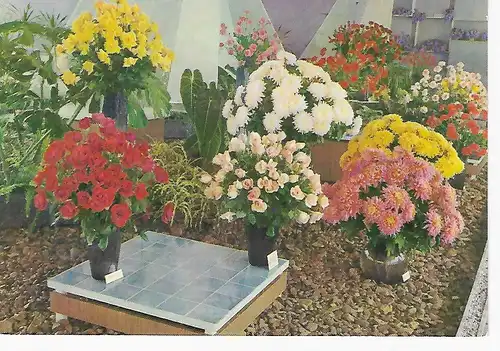 Ansichtskarte Internationale Gartenbauausstellung der DDR - Erfurt - nicht gelaufen