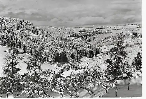 Ansichtskarte Freudenstadt im Schwarzwald - Blick ins Christofstal - gelaufen 1970