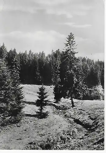 Ansichtskarte Johanngeorgenstadt (Erzgebirge) - Steinbachtal - gelaufen