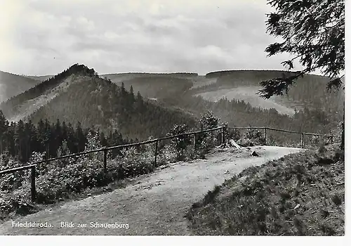 Ansichtskarte Friedrichroda - Thür. Wald - Blick zur Schauenburg - nicht gelaufen 