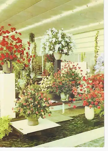 Ansichtskarte - iga Erfurt der DDR - Deutsche Demokratische Republik - Internationale Gartenbauausstellung - gelaufen 1974