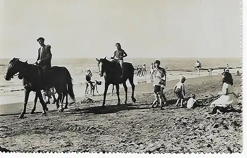Ansichtskarte Noordwijk a/Zee - Ruitersport - nicht gelaufen