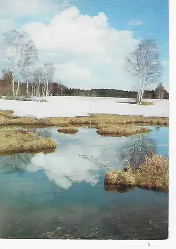 Ansichtskarte Schneeschmelze im Moor - nicht gelaufen 