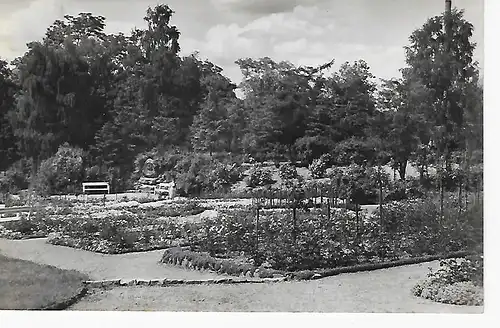 Ansichtskarte Sangerhausen - Rosarium mit Hoffmanndenkmal - gelaufen 