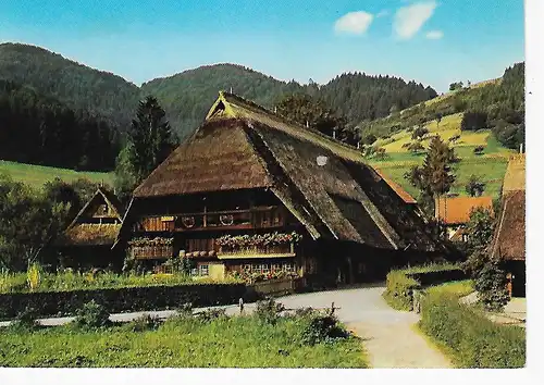 Ansichtskarte Schwarzwaldhaus - nicht gelaufen