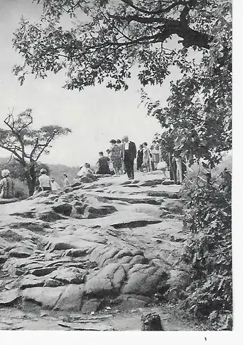 Ansichtskarte Auf der Roßtrappe bei Thale - nicht gelaufen