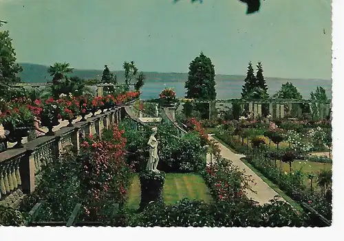 Ansichtskarte Insel Mainau im Bodensee - gelaufen 1964