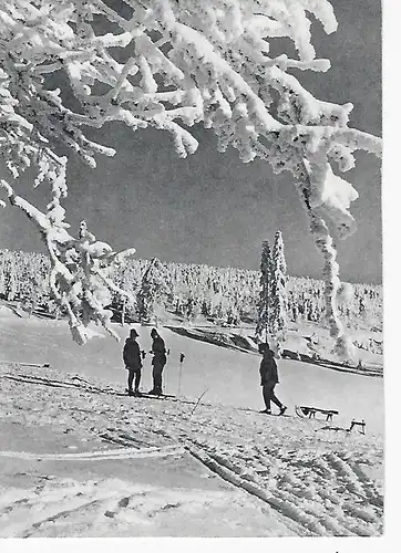 Ansichtskarte Thüringer Wald - Winter an der Schmücke - nicht gelaufen 