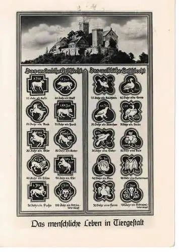 Ansichtskarte Eisenach - gelaufen 1958