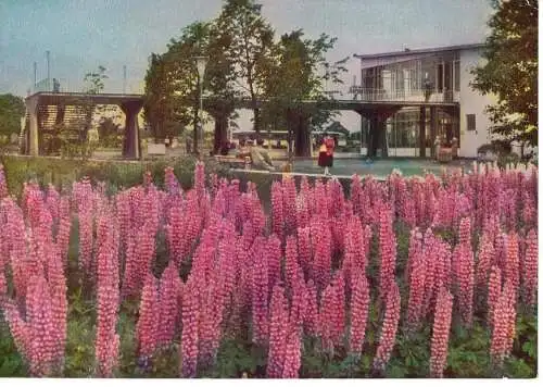 Ansichtskarte Gelände d.  Internationalen Gartenbauausstellung  - gelaufen 1968