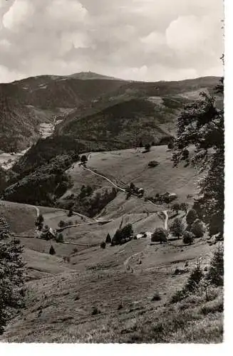 Ansichtskarte Schauinsland (Schwarzwald) - Blick über Hofsgrund, St. Wilhelmer-Tal z. Feldberg - nicht gelaufen 