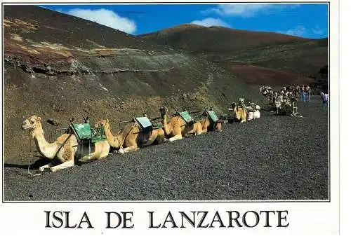 Ansichtskarte Lanzarote - Montanas del Fuego  - gelaufen 1994