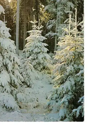 Weihnachtskarte - Frohe Weihnachten und ein gutes neues Jahr - gelaufen 1972