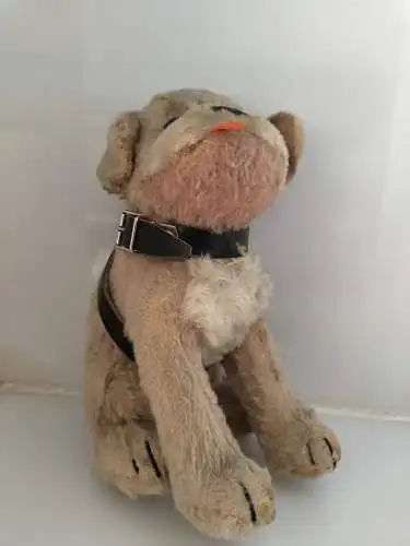 Steiff Hund "Mopsy" 3322,00 sitzend 22cm Mohairplüsch hellbraun KF 1A 60iger