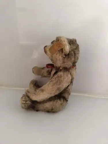 Historic Steiff Miniature Teddy Bear, 1926 Replica, EAN 029271 