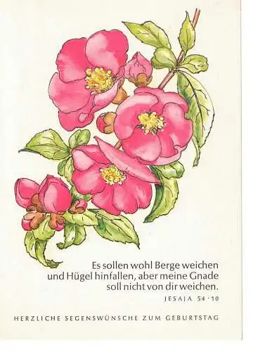 Geburtstagskarte -  Herzliche Segenswünsche zum Geburtstag  - gelaufen