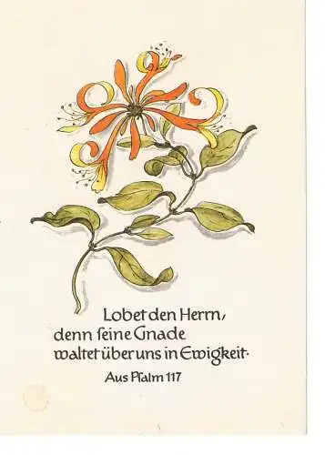 Karte - Lobet den Herrn; denn seine Gnade waltet über uns in Ewigkeit. Aus Psalm 117 - gelaufen 1975