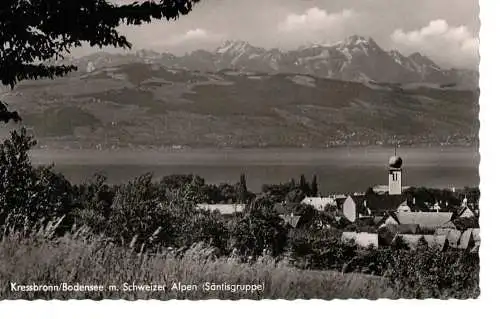 Ansichtskarte Kressbronn / Bodensee m. Schweizer Alpen (Söntisgruppe) - gelaufen 