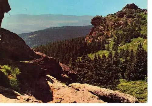 Ansichtskarte Richard-Wagner-Kopf auf dem Gr. Arber 1457 m / Bayer. Wald - gelaufen 1971