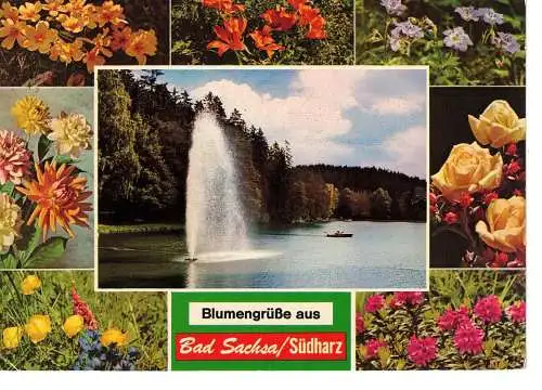 Ansichtskarte Bad Sachsa / Südharz - Fontäne auf dem Schmelzteich - gelaufen 1980