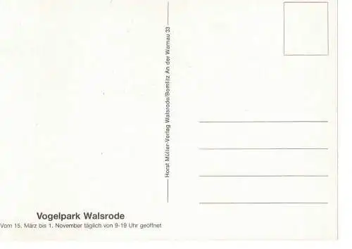 Ansichtskarte Lüneburger Heide - nicht gelaufen