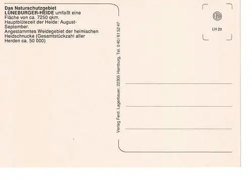 Ansichtskarte Das Naturschutzgebiet Lüneburger Heide - nicht gelaufen