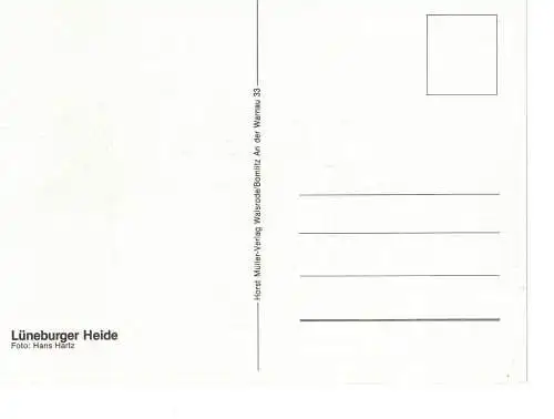 Ansichtskarte Lüneburger Heide - nicht gelaufen