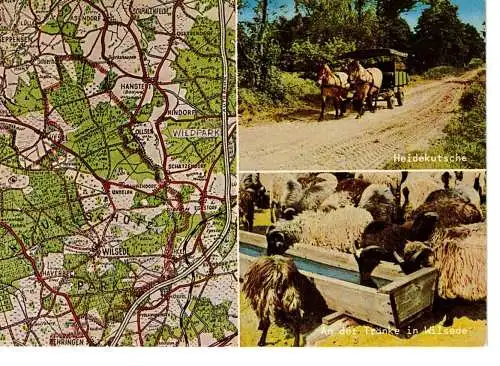 Ansichtskarte Mit dem Kutschwagen durch die Lüneburger Heide - nicht gelaufen