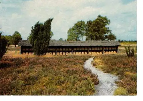Ansichtskarte Korbbienenstand im Naturschutzgebiet Lüneburger Heide - nicht gelaufen