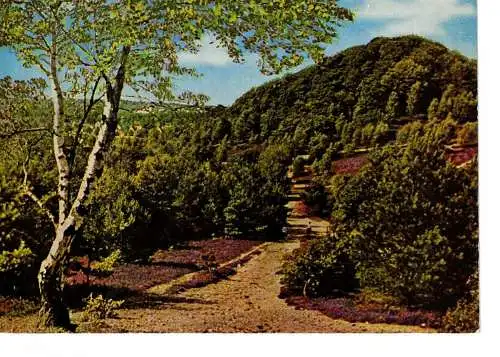 Ansichtskarte Lüneburger Heide - gelaufen 1974