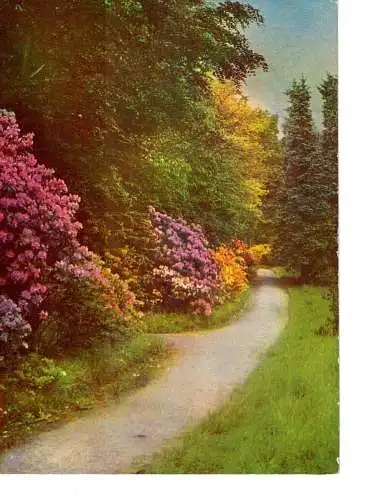 Ansichtskarte Kamenz - Hutberg-Anlagen - beschrieben 1969