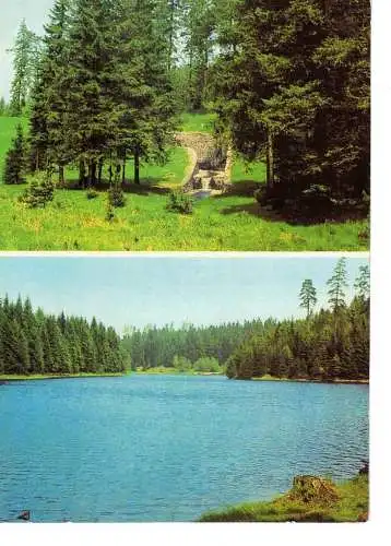 Ansichtskarte Tannenbergsthal (Vogtl.) - Am Vogtlandsee - nicht gelaufen 