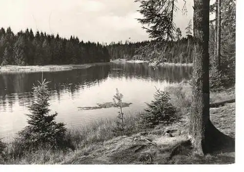 Ansichtskarte Tannenbergsthal (Vogtl.) - Am Vogtlandsee - gelaufen 1981