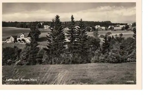 Ansichtskarte Luftkurort Tanne / Harz - gelaufen