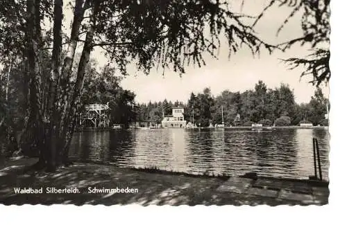 Ansichtskarte Waldbad Silberteich - Schwimmbecken - Seifhennersdorf - gelaufen ca. 1966
