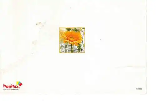 Ansichtsklappkarte Blumen - beschrieben
