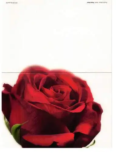 Ansichtsklappkarte Blumen - nicht beschrieben