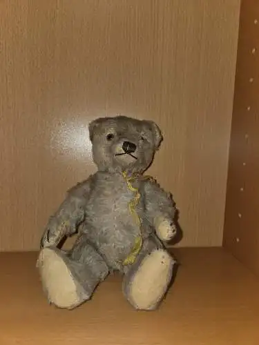 Antiker Steiff Bär Ohne Knopf Und Fahne 
