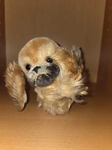 Steiff-Hund Pekinese ca. 1960er ohne Fahne, da älteres Modell