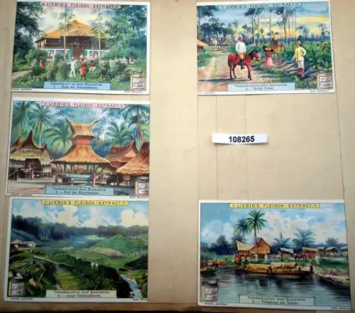 Liebig's viande-Extract Série d'images: Culture du tabac sur Sumatra (Arnold n° 547, Sanguinetti n ° 715)