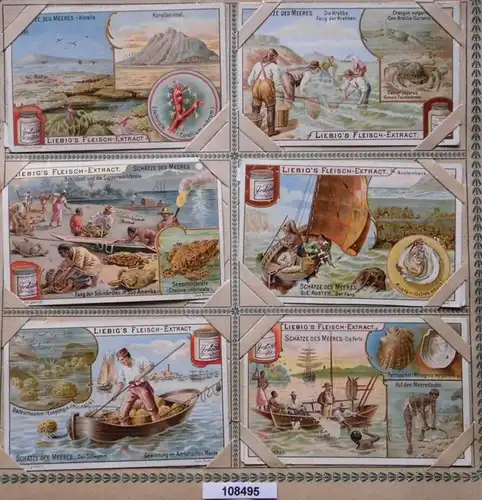 Liebig's Chair-Extract Série d'images: Trésors de la mer (Arnold n° 544, Sanguinetti n ° 716)