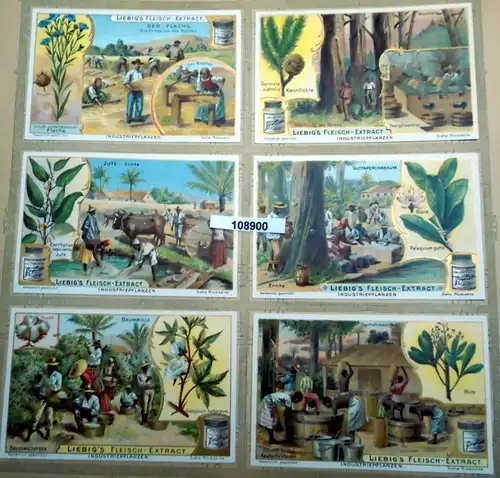 Liebig's viande-Extract Série d'images: Plantes industrielles (Arnold Nr. 535, Sanguinetti Nr 707)