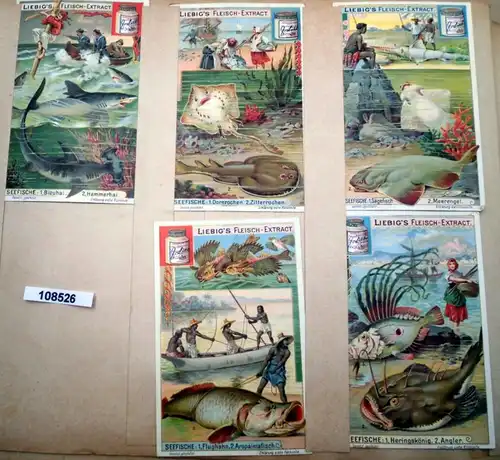 Liebig's viande-Extract Série d'images: Poissons de mer (Arnold n° 573, Sanguinetti n ° 744)
