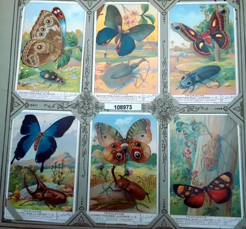 Liebig's viande-Extract Série d'images: Papillons et scarabées tropicaux (Arnold n° 1065, Sanguinetti n ° 1315)