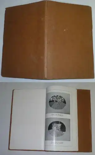 Katalog Kissenmotive von Serie I und Serie II, Wandschonermotive