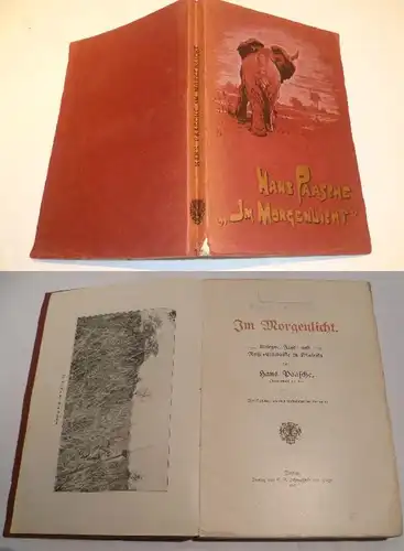 Au lever du jour - Expériences de guerre et de chasse en Afrique de l'Est