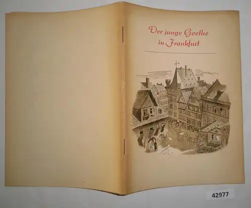 Le jeune Goethe à Francfort - Une sélection de " poésies et vérités "